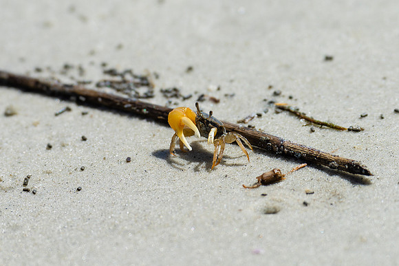 Vacation-HHI-2018-357