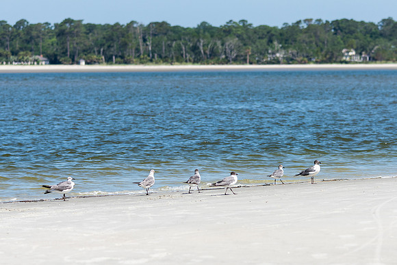 Vacation-HHI-2018-267