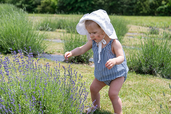 Margaret-Lavender Farm-2024-35