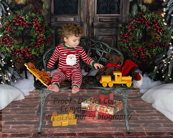 CY-MULLINS-18mos-CHRISTMAS-2022-72
