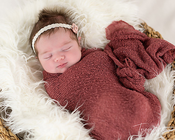 TERESA ARTHUR PHOTOGRAPHY NEWBORN PHOTOGRAHER IN FAUQUIER COUNTY VA