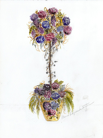 Hydrangea Tooopiary by Minnie Raynor Compton