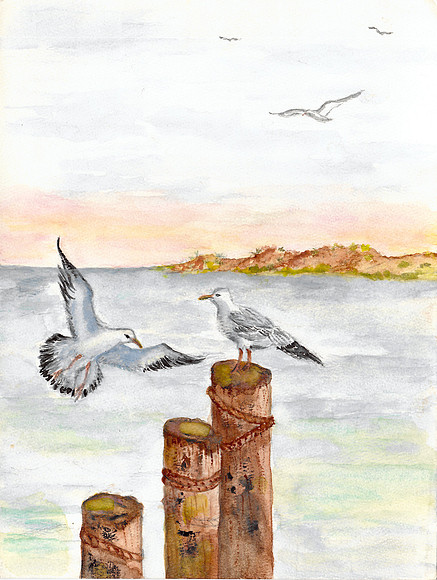 Seagull's Landing by Minnie Raynor Compton