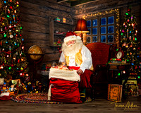 Santa Portraits by Teresa Arthur Photography,LLC