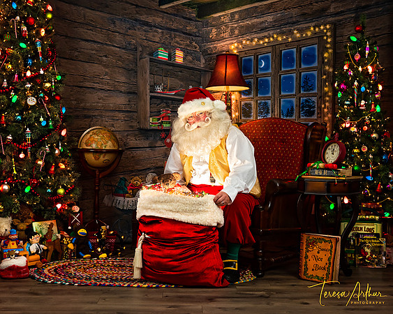 Santa Portraits by Teresa Arthur Photography,LLC