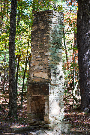 NC TRIP-423