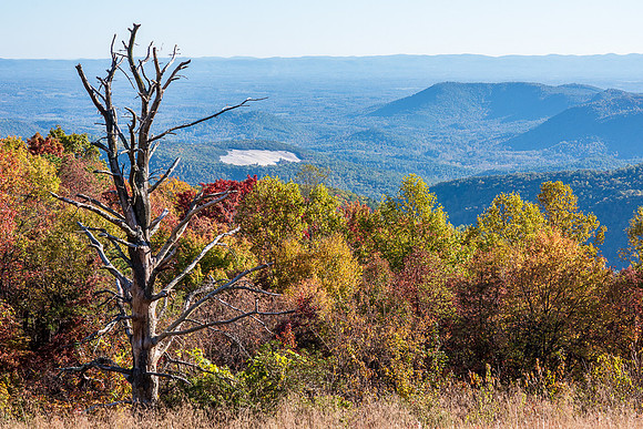 NC TRIP-296
