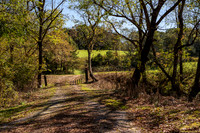 NC TRIP-7