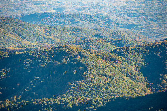 NC TRIP-509