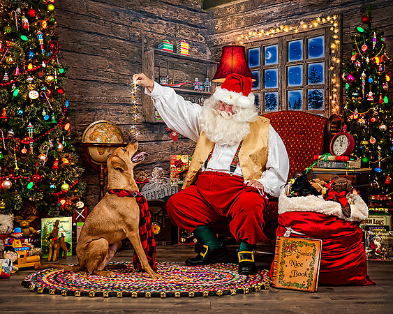 CooperB-Santa-2019-126-Edit