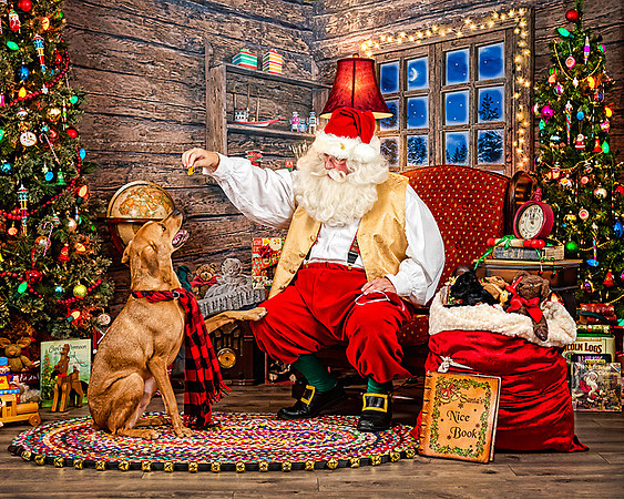CooperB-Santa-2019-147-Edit