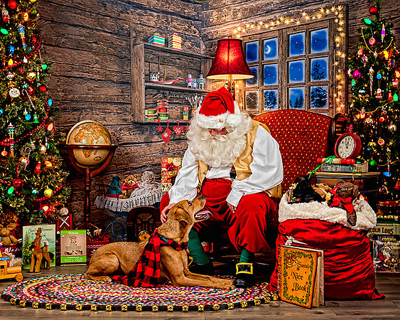 CooperB-Santa-2019-83-Edit