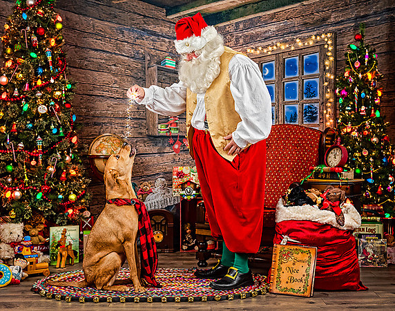 CooperB-Santa-2019-150-Edit