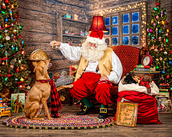 CooperB-Santa-2019-147-Edit