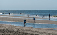 VACA-2022-IOP-SC-47