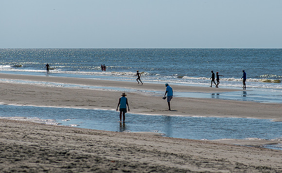 VACA-2022-IOP-SC-47
