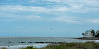 VACA-2022-IOP-SC-1