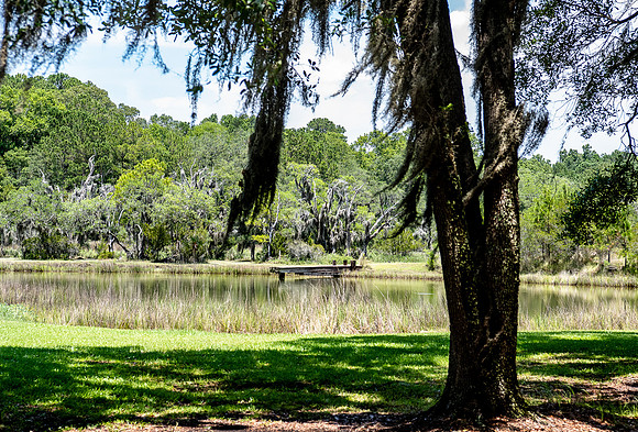 VACA-2022-IOP-SC-369
