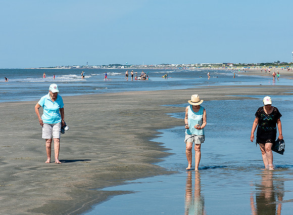 VACA-2022-IOP-SC-52