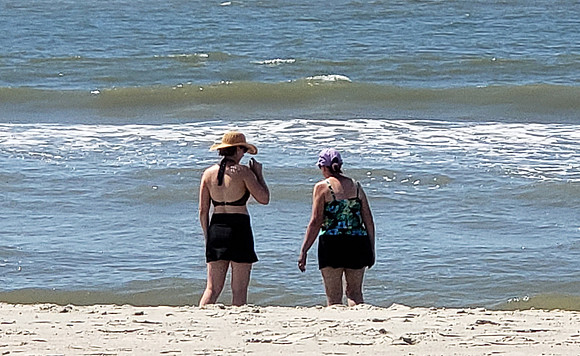 VACA-2022-IOP-SC-816