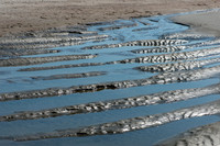 VACA-2022-IOP-SC-72