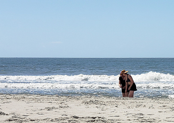 VACA-2022-IOP-SC-812