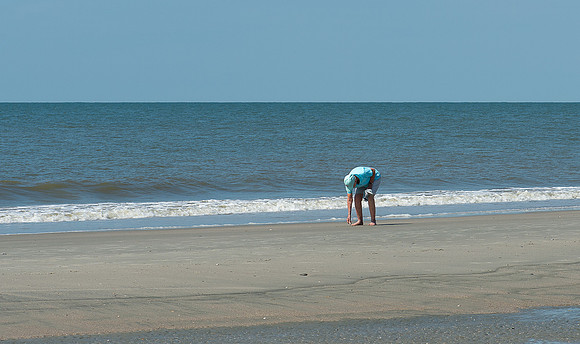 VACA-2022-IOP-SC-81