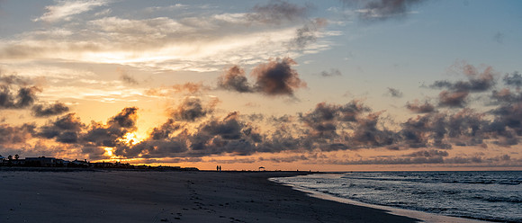 VACA-2022-IOP-SC-347
