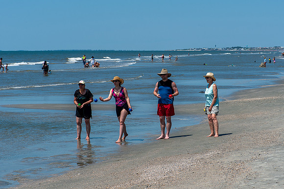 VACA-2022-IOP-SC-228