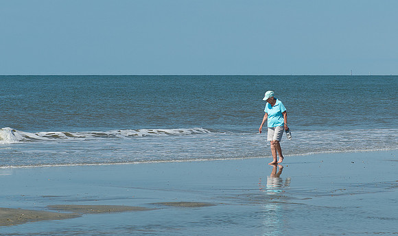 VACA-2022-IOP-SC-69