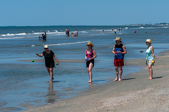 VACA-2022-IOP-SC-226