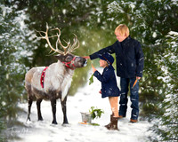 Clair-Connor Feeding Reindeer