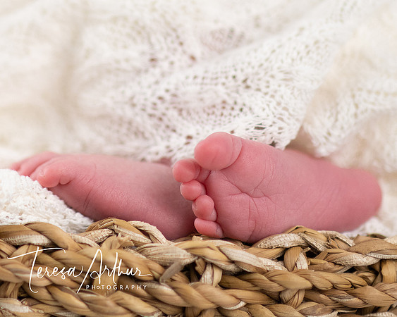 NEWBORN PORTRAIT SESSION CUSTOM PHOTOGRAPHY BY TERESA ARTHUR PHOTOGRAPHY