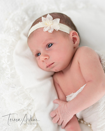 NEWBORN PORTRAIT SESSIONS IN NORTHERN VIRGINIA BY TERESA ARTHUR PHOTOGRAPHY