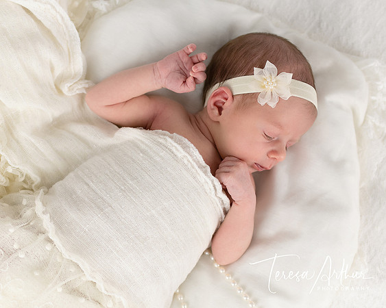 NEWBORN STUDIO PORTRAIT PHOTOGRAHER IN NOTHERN VIRGINIA-TERESA ARTHUR PHOTOGRAPHY