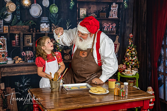 SANTA PHOTO SESSIONS-CUSTOM PHOTO SESSION BY TERESA ARTHUR PHOTOGRAPHY