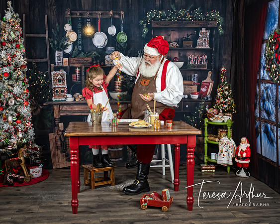 SANTA PROFFESSIONAL PHOTO SESSIONS BY TERESA ARTHUR PHOTOGRAPHY IN WARRENTON VA