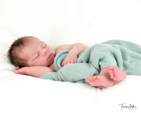 NB-GOETZ-D-2026-339-Edit