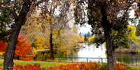 OREGON 2021 VACATION-750