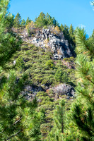 VACATION-2021-OREGON-18