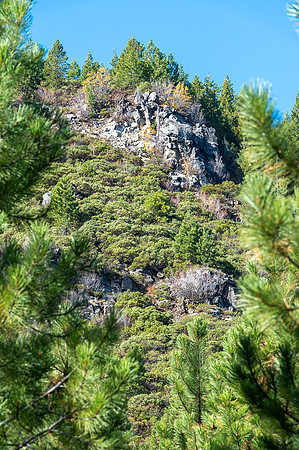 VACATION-2021-OREGON-18
