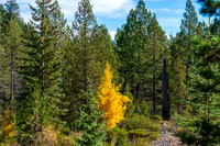 VACATION-2021-OREGON-34