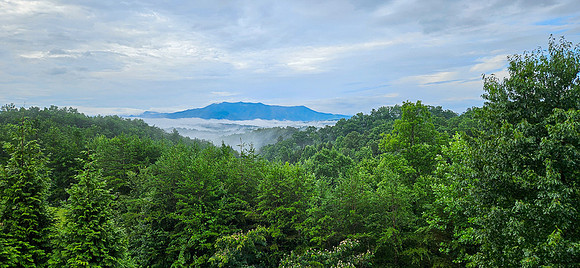 vacation 2026 Sevierville TN-113