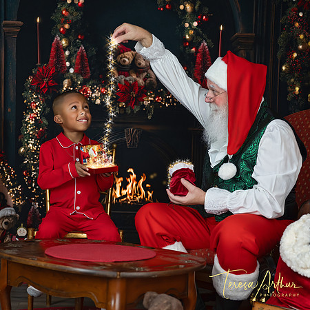 NOVA VIRGINIA SANTA SESSIONS BY TERESA ARTHUR PHOTOGRAPHY-WARRENTON VA