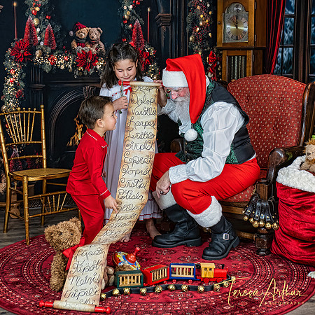 FUN SANTA PHOTO SESSIONS-WARRENTON VA-TERESA ARTHUR PHOTOGRAPHY