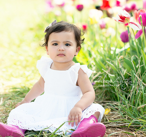 NORTHERN VIRGINIA FLOWER FIELD WITH TWELVE MONTH GIRL PHOTO SESSION