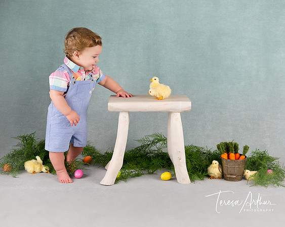 Warrenton VA Baby Photographer-Easter Pictures-Teresa Arthur Photography