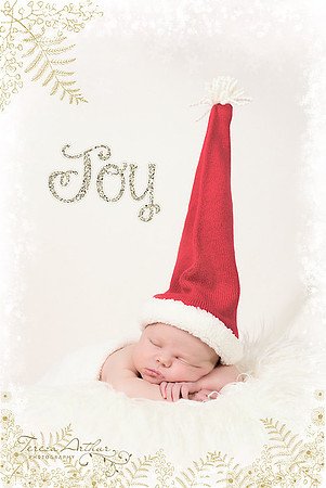 NEWBORN PHOTOGRAPHER IN WARRENTON VIRGINIA