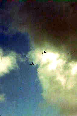planes in viet nam1964341a