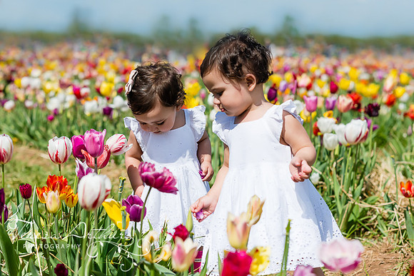 BURNSIDE FARMS TULIP FIELD TWIN TWELVE MONTH SESSION